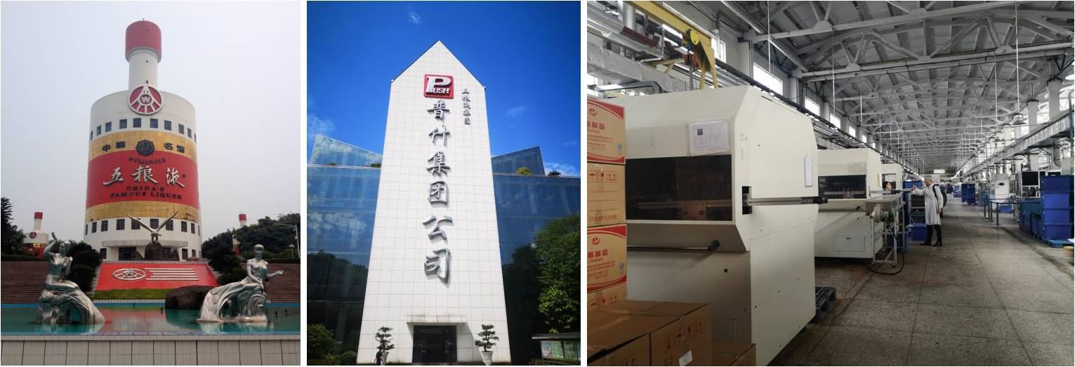 Wuliangye Group Cap compression molding machine (2)